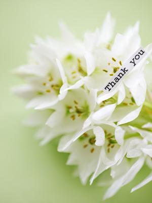 男性用にこだわる必要のない育毛剤