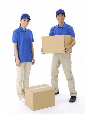 鹿肉でできたヘルシーなドッグフード