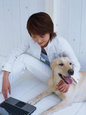 信濃屋のスピリッツは種類が豊富