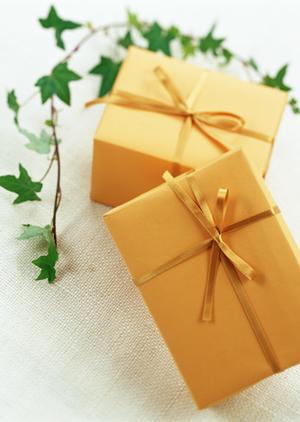 データセキュリティを守る！業務用シュレッダーの選び方完全ガイド