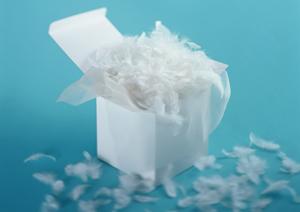 最新トレンドを取り入れたコンタクトレンズ通販サイトの魅力的な商品ラインナップ