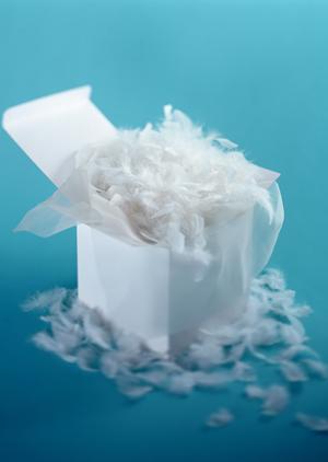 乗馬用品の選び方とおすすめアイテム完全ガイド2025年